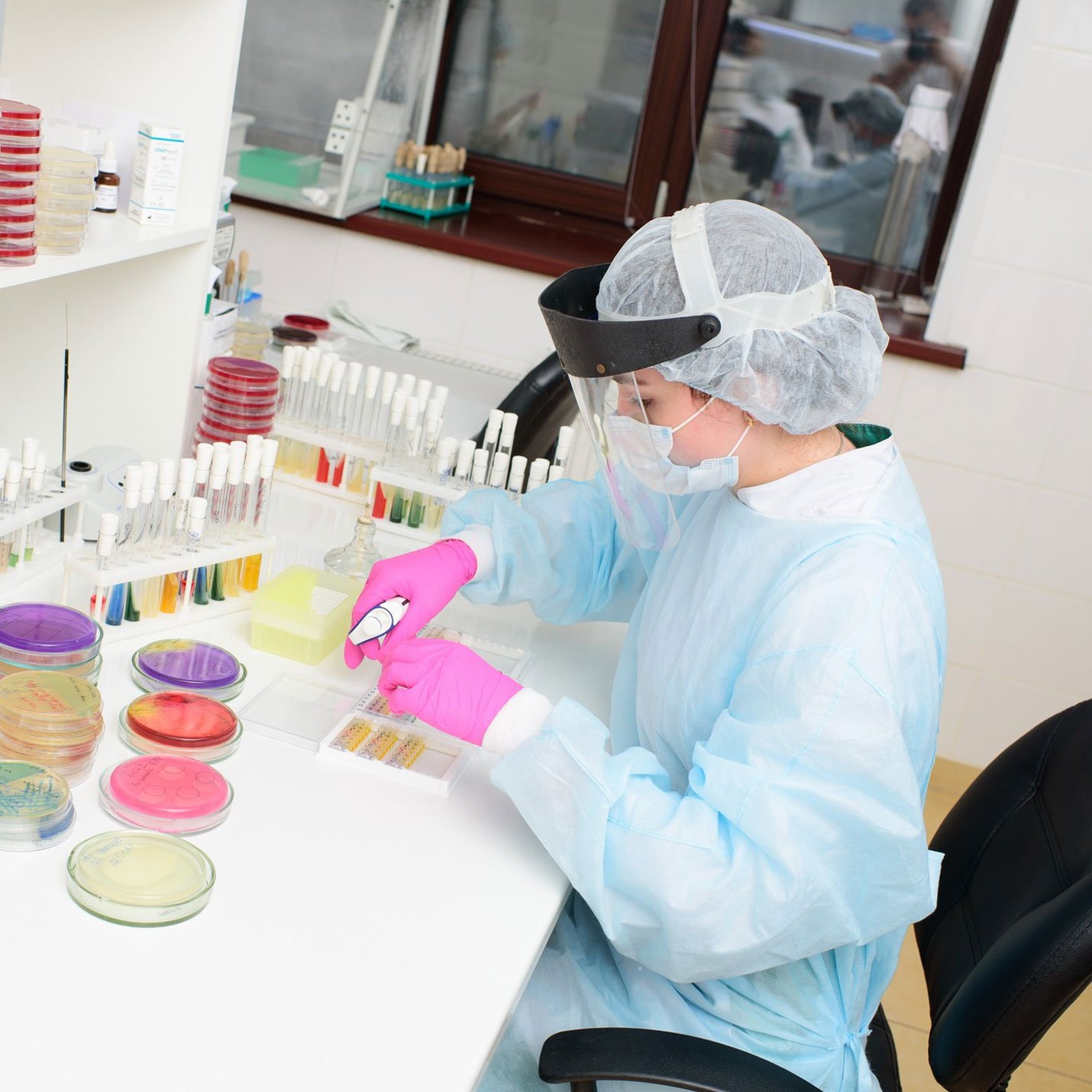 a scientist testing in the lab