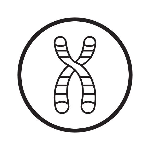 Telomere Length icon